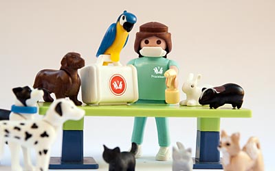 Playmobilfiguren in der Tierarztpraxis