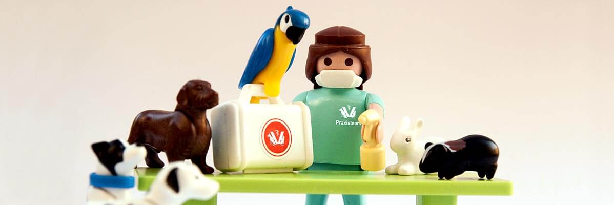 Playmobilfiguren in der Tierarztpraxis